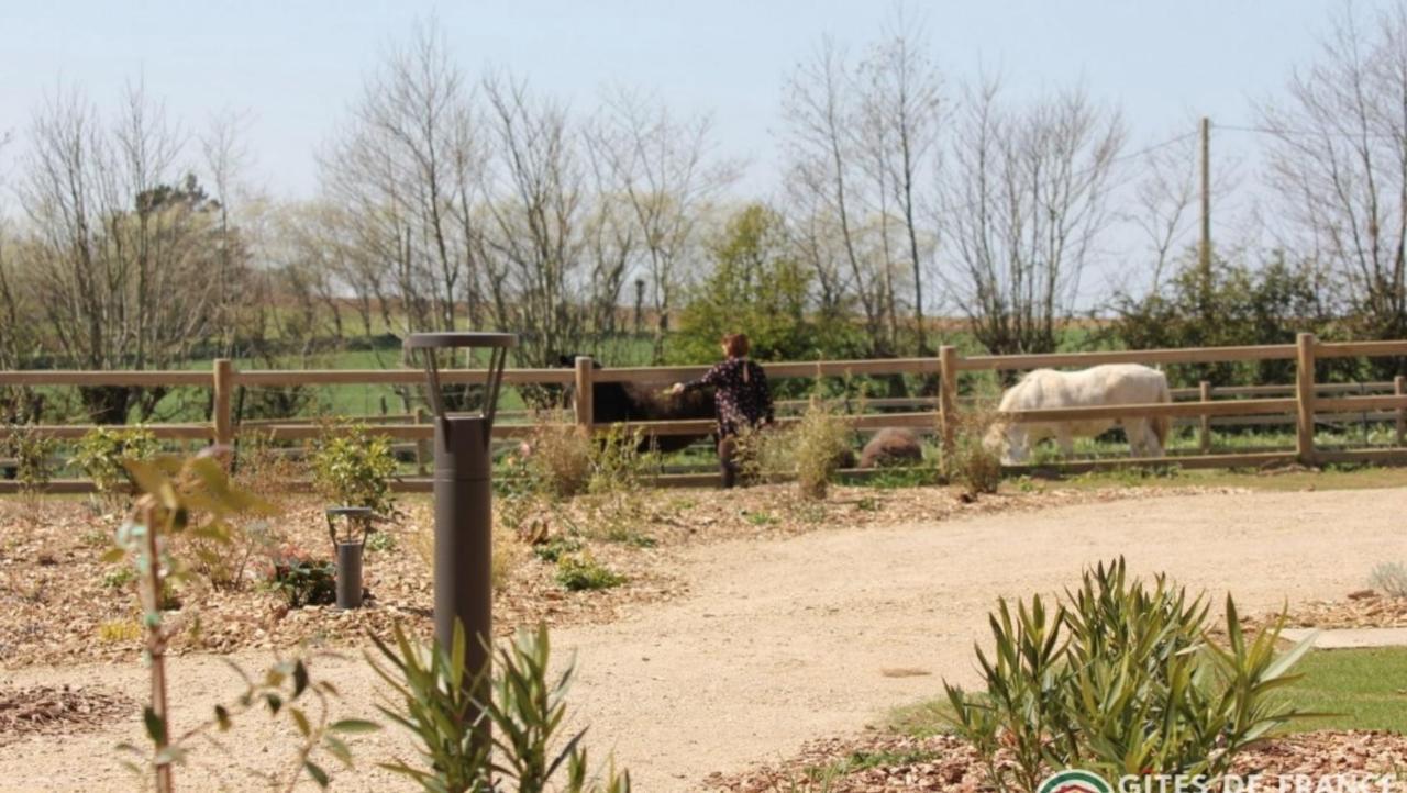 Domaine De Kerantroad Villa Plonevez-Porzay ภายนอก รูปภาพ
